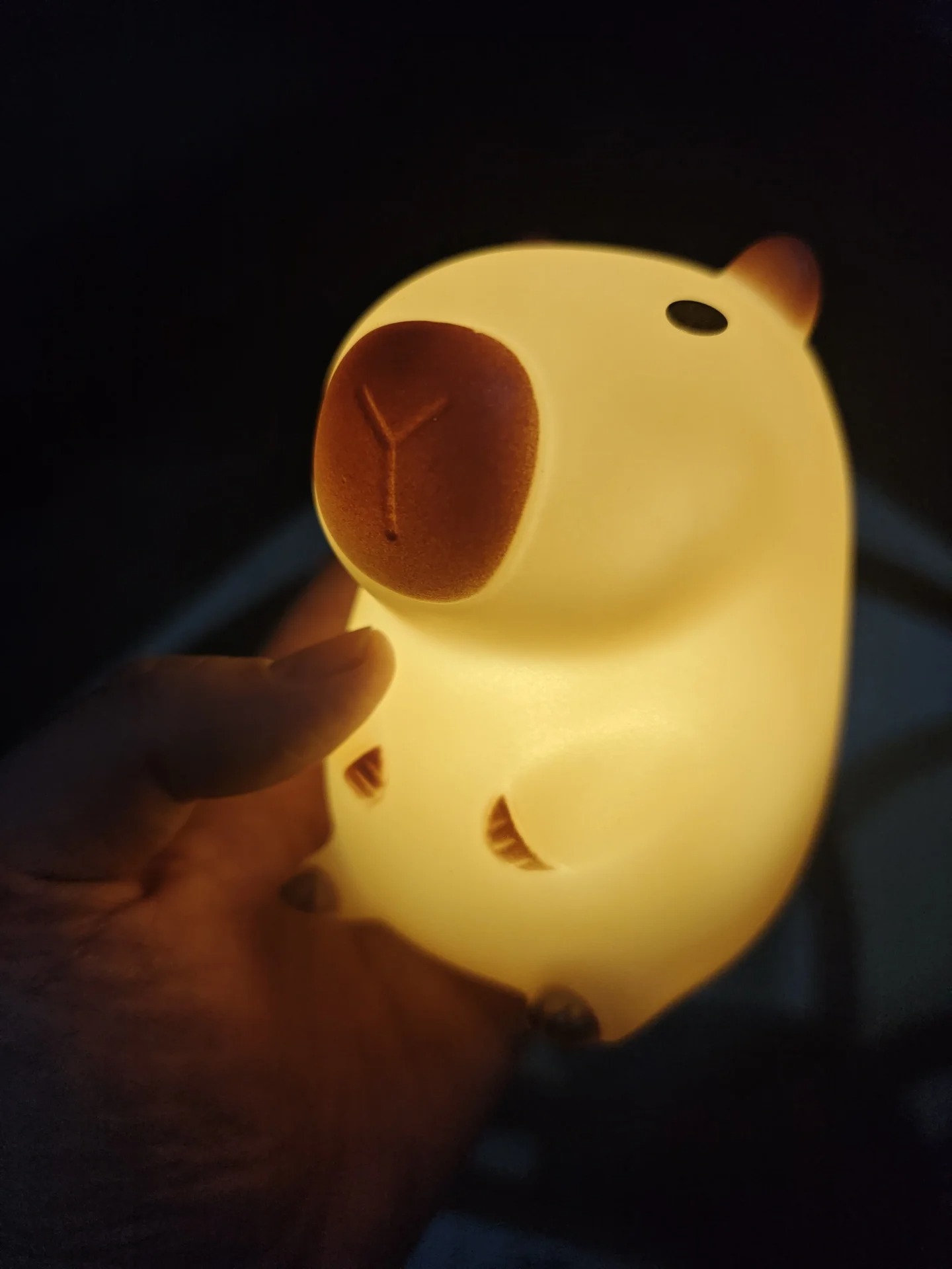 Cute Pet Capybara Night Light  - Decor Lighting Sales review and price